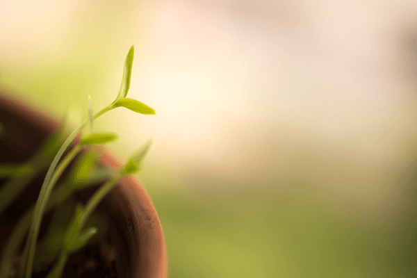 What Is Lead Generation ? – Guide To B2B Lead Generation 2020