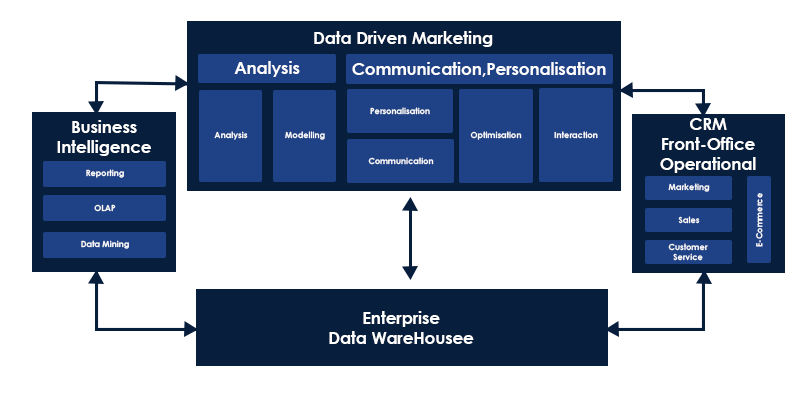 Data-Driven Marketing Consultant